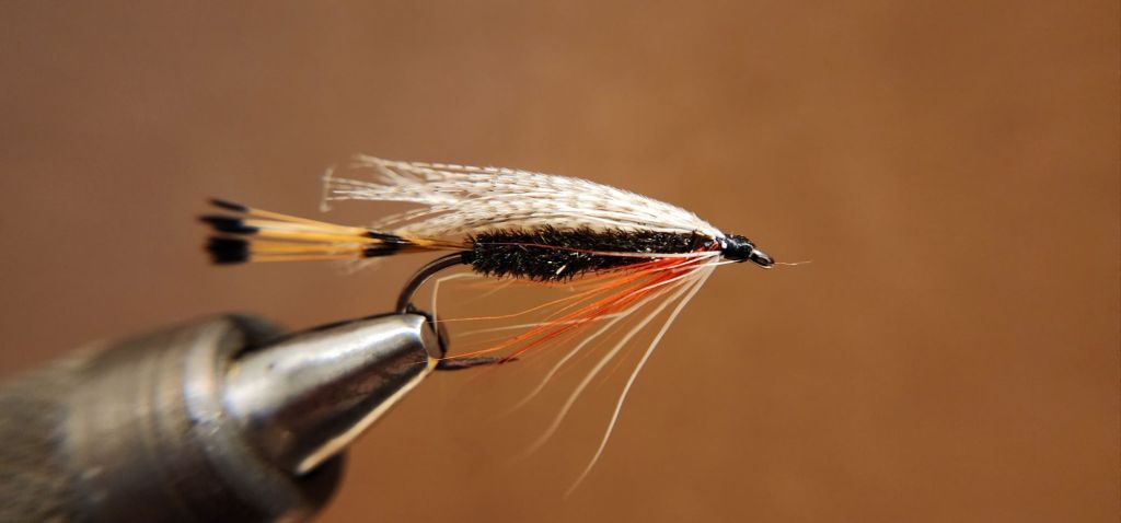 img_20250206_185159 (1)5274220374204454777.