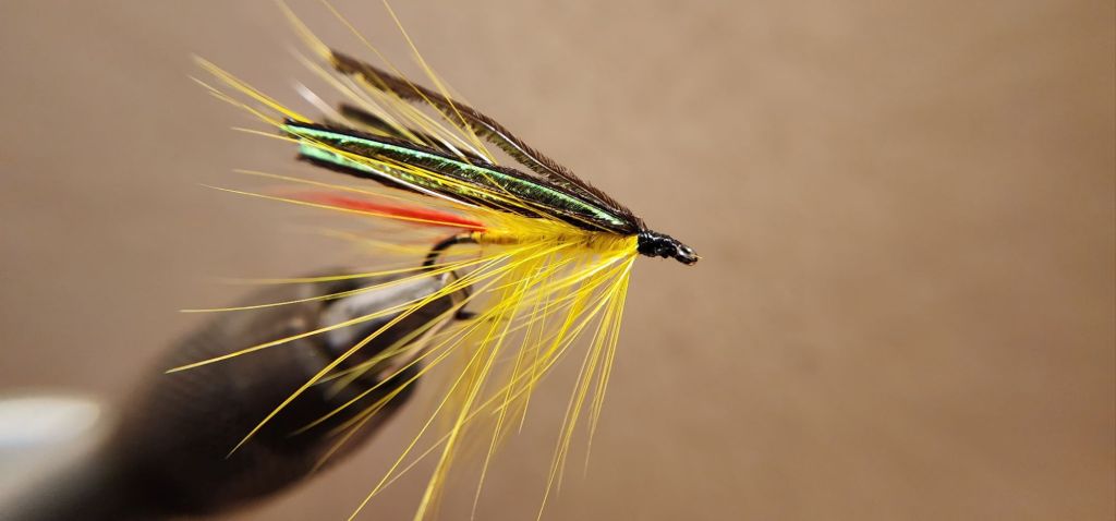 img_20250206_185159 (2)3362217455573384502.